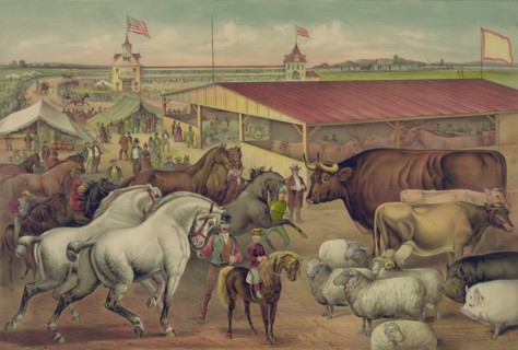 Sights at the Fair Grounds