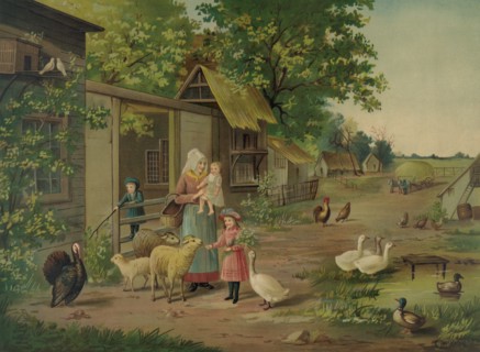 Evening on the farm