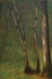 Forest at Pont Aubert