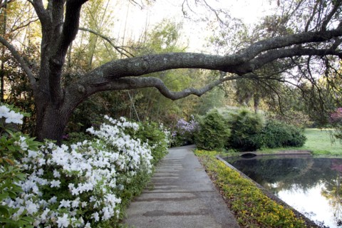 Bellingrath Gardens and Home