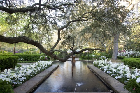 Bellingrath Gardens and Home