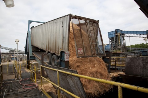 Trailer Unloads Wood Chips
