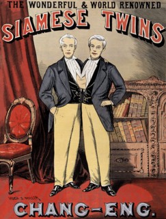 Siamese Twines; Chang - Eng
