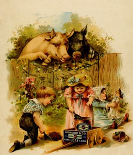 Pigs look over fence at children scooping earth in to a lard bucket