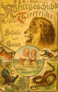 In German; Stories of Animals for Home & school book cover