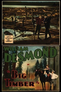 Big Timber