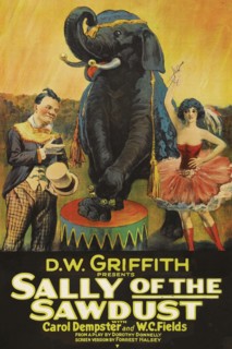 Sally of the Sawdust