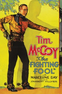 The Fighting Fool