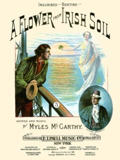 A Flower from Irish Soil