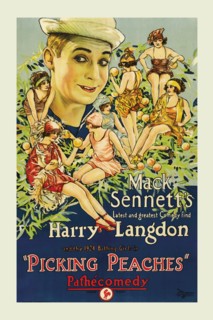 Picking Peaches