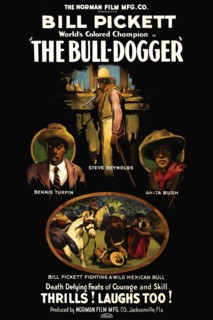 The Bull - Dogger