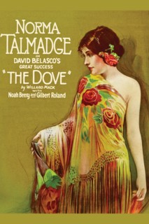 The Dove