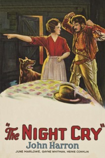 The Night Cry