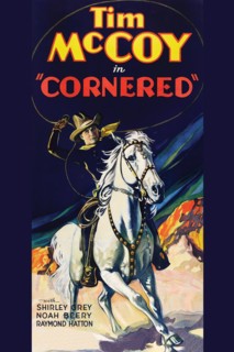 Cornered