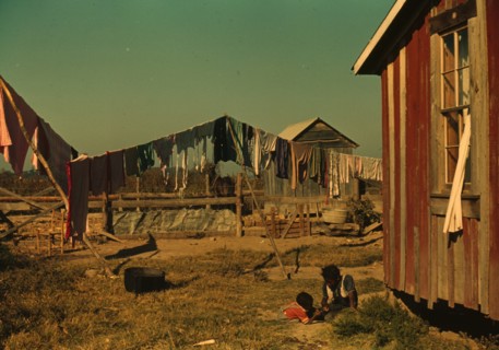 Backyard of Negro tenant's home, Marcella Plantation, Mileston, Miss. Delta
