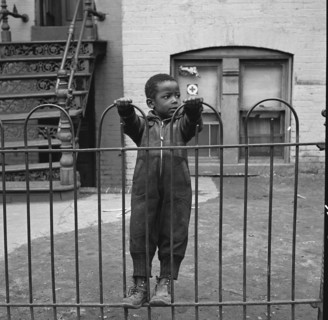 African American  boy in the King's Court section
