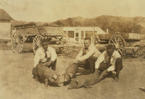Three Kids and Pigs