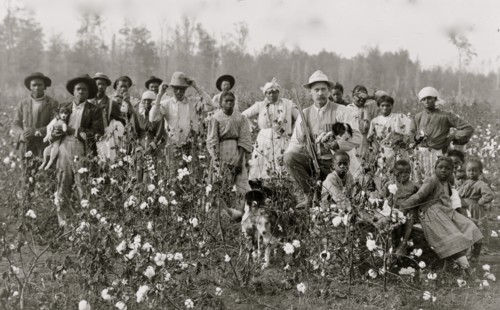 The cotton planter and his pickers