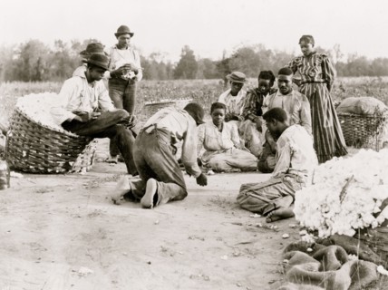 African Americans resting and shooting dice at edge of cotton field