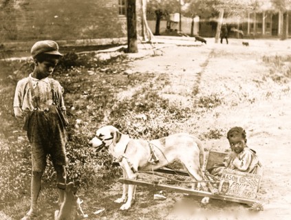 Putting on the Dog