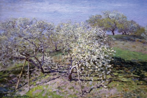 Spring Fruit Tees in Bloom