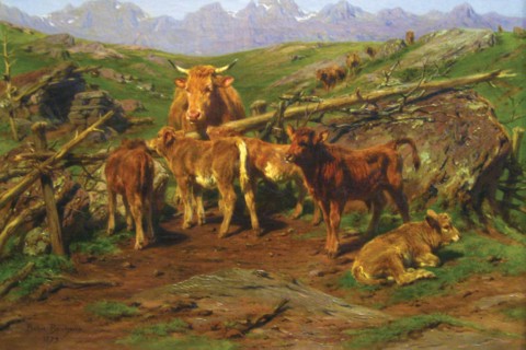 Weaning the Calves