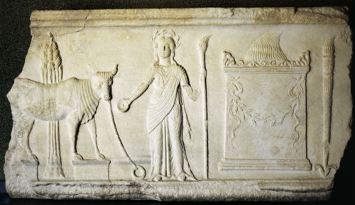 Sacrifice of a bull to the Demeter goddess.