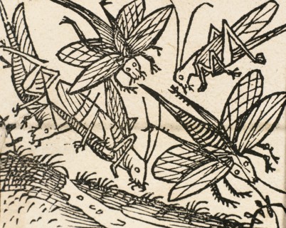 Old Testament. Plague of the Locusts.