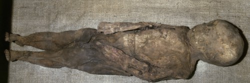 Pre-Inca mummy, Conserved the skin, skull and teeth.