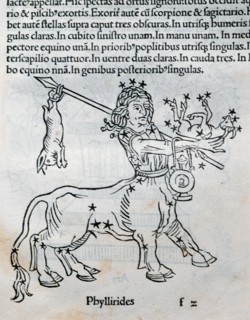 Centaur Phyllirides.