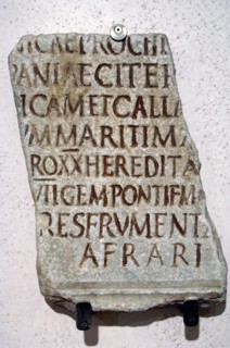 Praefectus annonae. Inscription, base on ancient manuscript, placed for the prefect C. iunius Favianus.