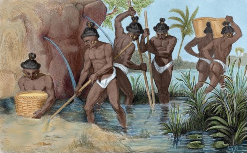Floridians collecting gold.