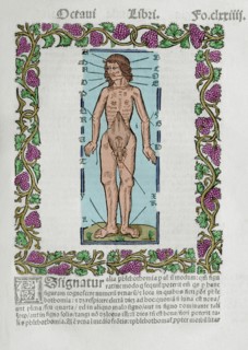 The human body and the influence of the stars.