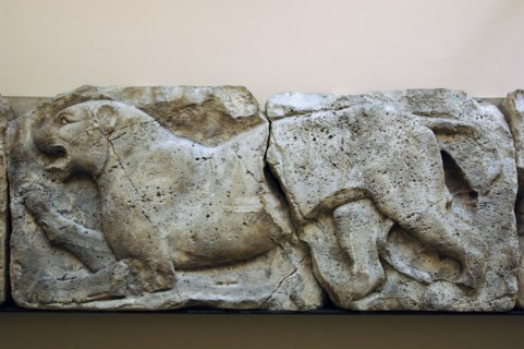 Satyr hunting wild Animals.