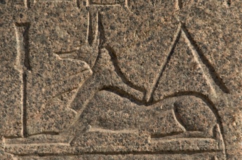 God Anubis.