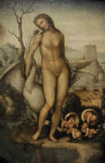Leda.