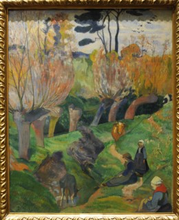 Landscape from Bretagne.