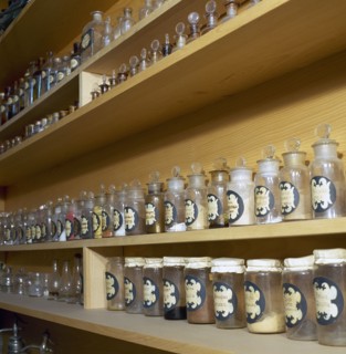 Spain. Catalonia. Llivia. Old pahrmacy bottles. Museum of Esteve Pharmacy.