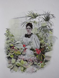 Woman pouring flowers in a greenhouse