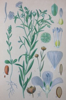 Digital improved high quality reproduction: Flax