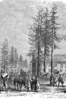 Polling station at Lac Lake Donner in California