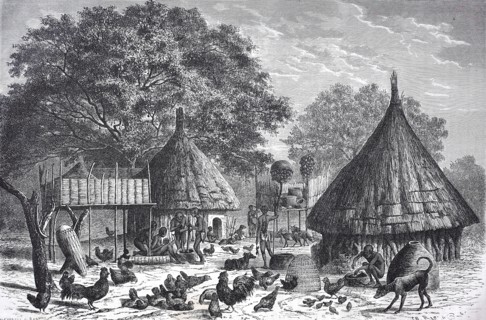 Village of the Diour tribe