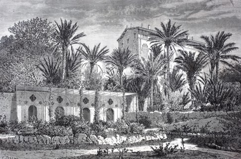 the Moreno garden