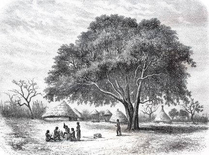 Bongo Village Sabbi
