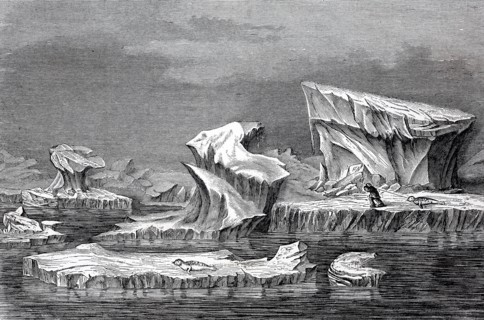 Icebergs off the coast of Greenland  /  Eisberge vor der Küste von Grönland