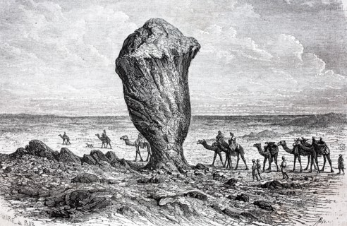 Camel caravan in the white desert