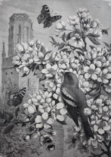 symbolic images for spring