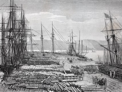 Hafen mit gelagertem Holz