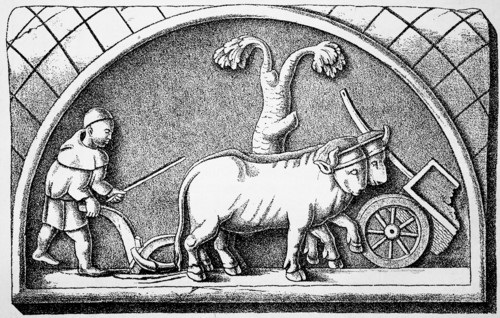 Roman farmer behind the plough