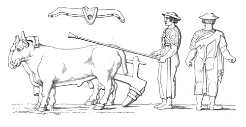 Roman plough with oxen and farmer  /  Römischer Pflug mit Ochsen und Bauer
